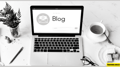 blogsternation .com