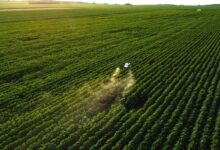https://thaerome.com.in/what-makes-agro-drones-the-smart-choice-for-modern-agriculture/