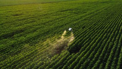 https://thaerome.com.in/what-makes-agro-drones-the-smart-choice-for-modern-agriculture/